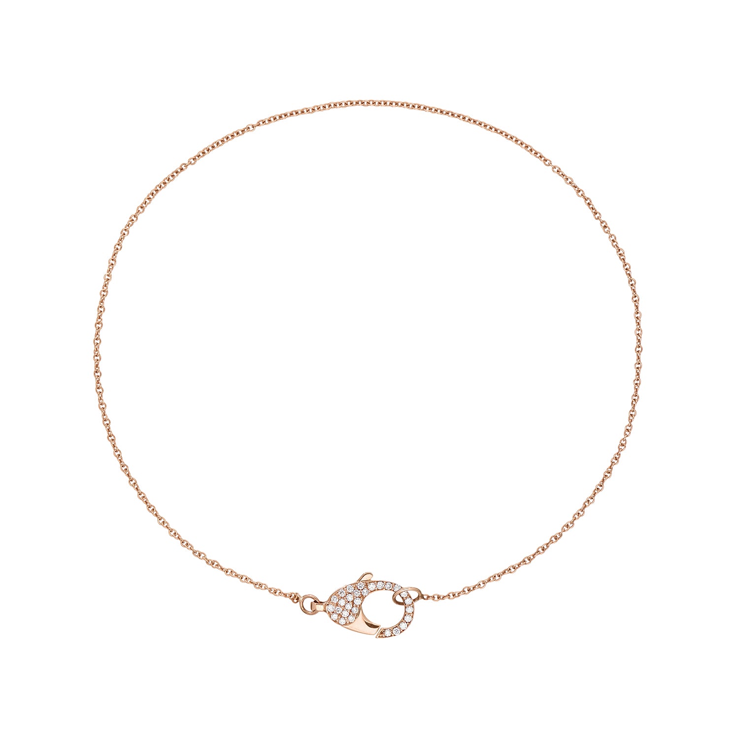 The Clasp Necklace